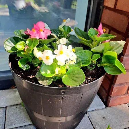 Butas Park New Building *