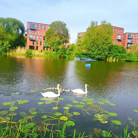 Park New Building Butas *