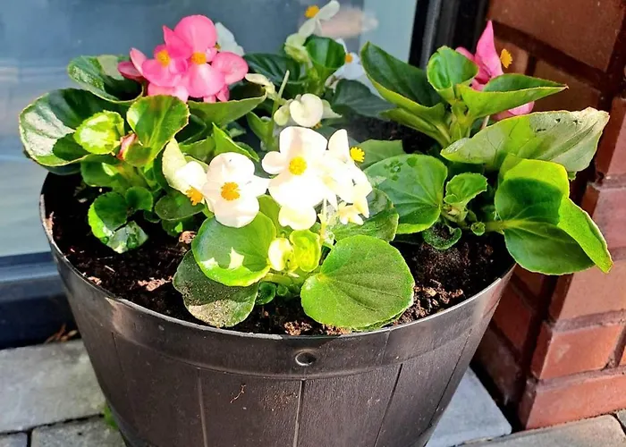 Apartment Park New Building *