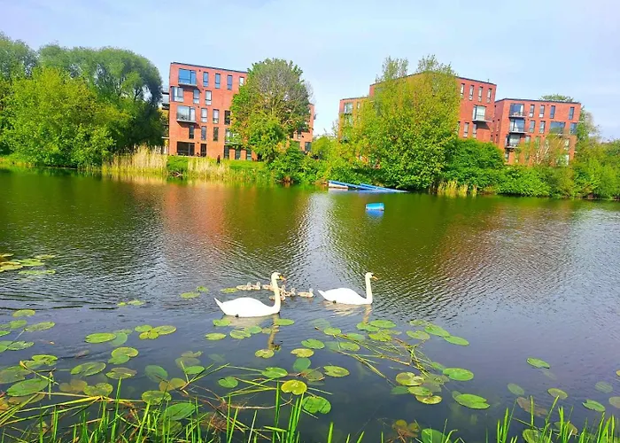 Park New Building Apartment *