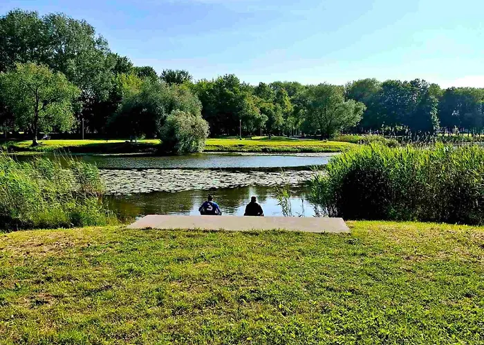 Apartment Park New Building *